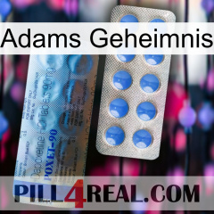 Adams Secret 40